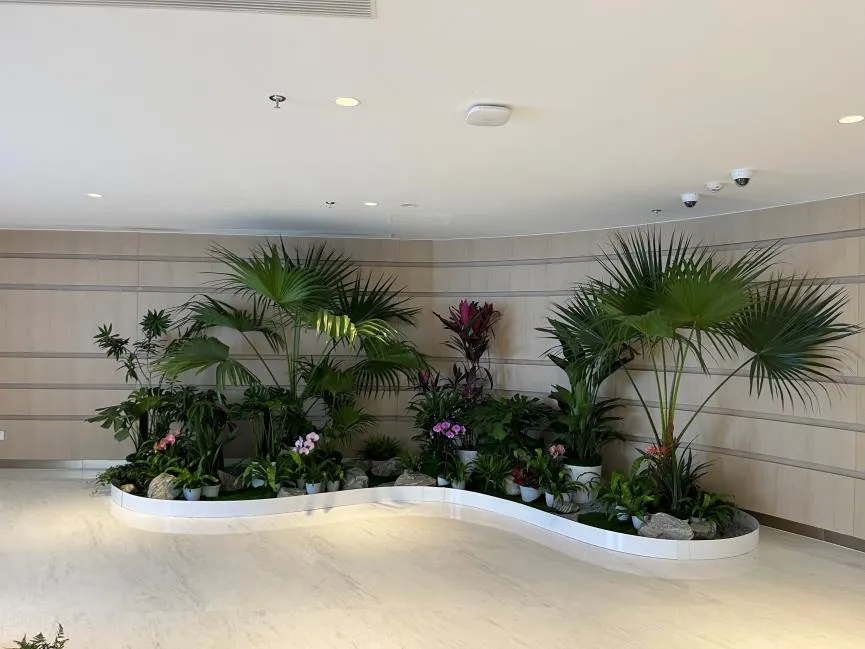 宁波北仑植物租赁价格大起底，真相在这里！